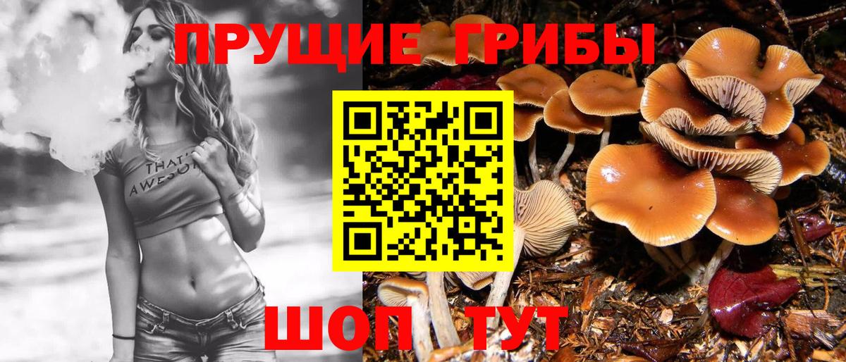 Галлюциногенные грибы ЛСД  закладка  Кувандык  Вход с VPN 